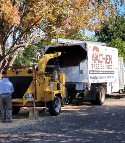 Aachen Tree Service