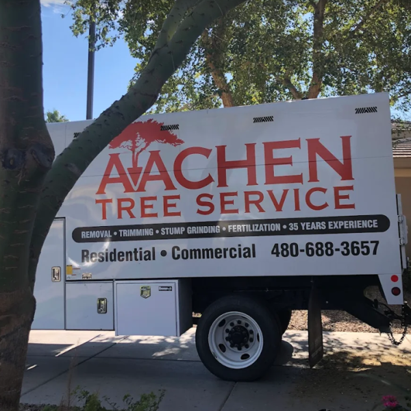 Aachen Tree Service