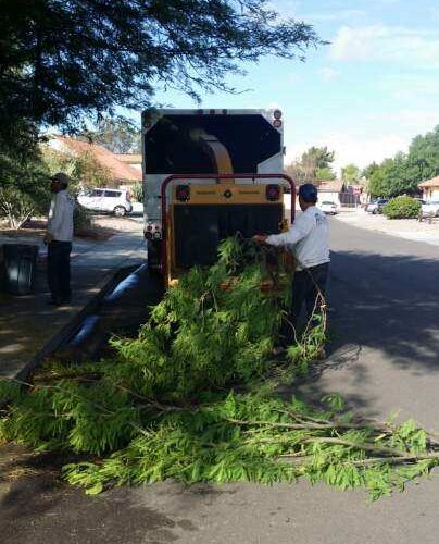 Aachen Tree Service
