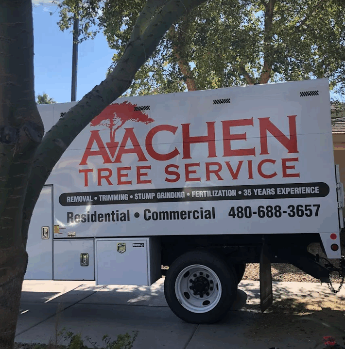 Aachen Tree Service Aachen Tree Service