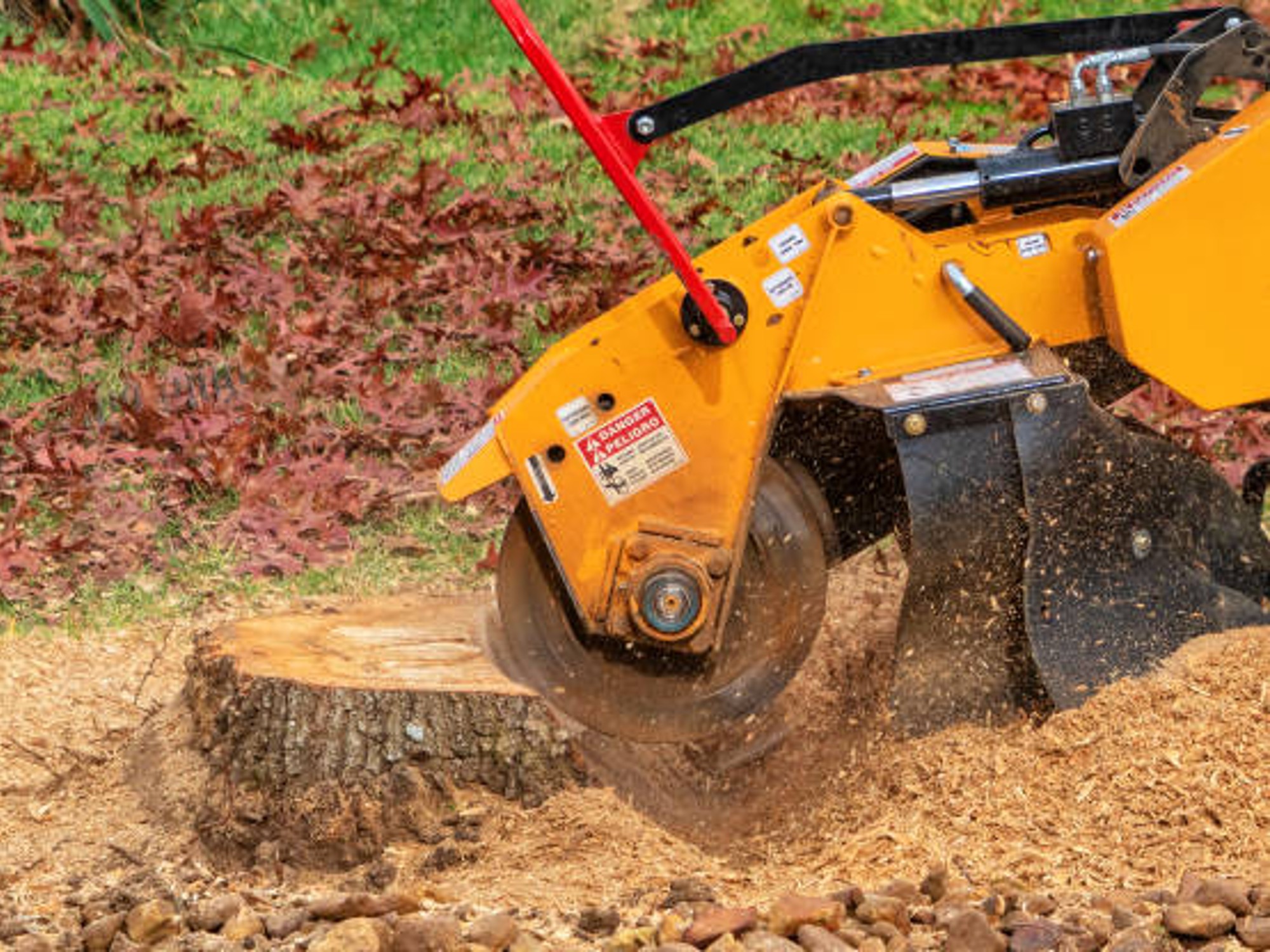 Aachen Tree Service gallery 4