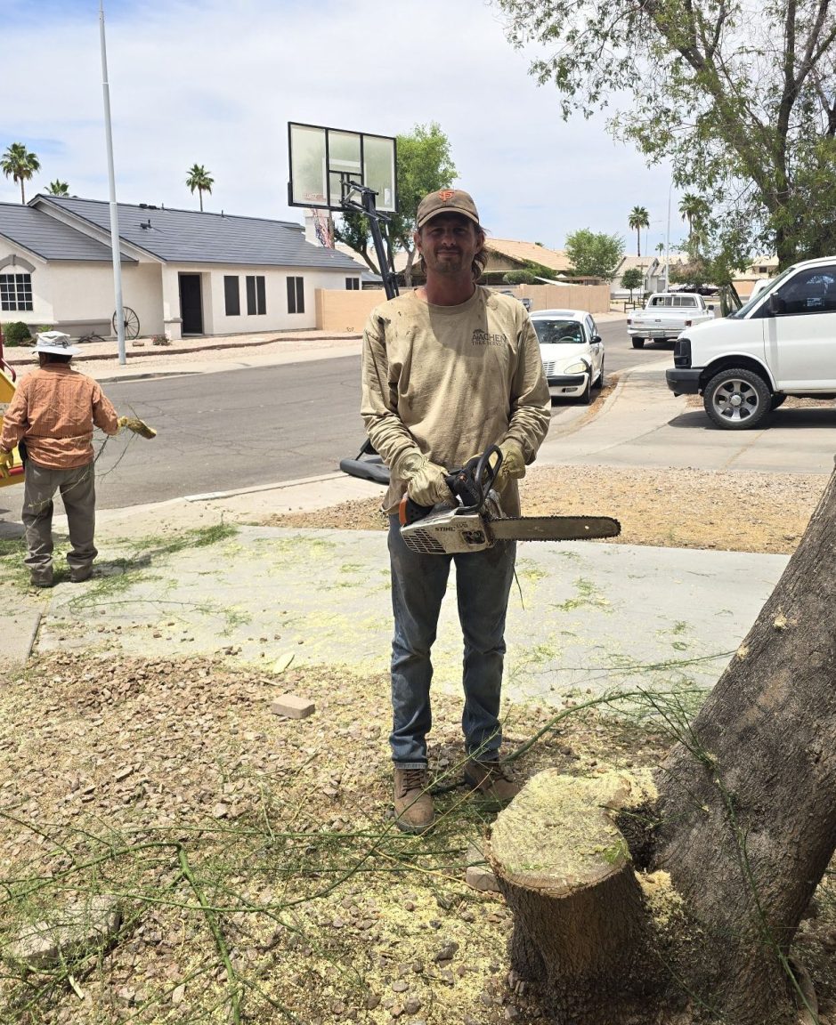 aachen tree service (1)